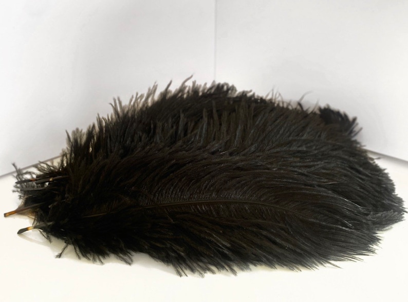 Puede incluir: Un conjunto de plumas negras, probablemente de avestruz, dispuestas en un mont&oacute;n. Las plumas tienen una textura suave y esponjosa y un color negro intenso y s&oacute;lido. Fondo blanco.