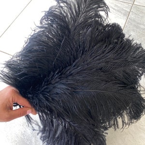 Puede incluir: Un manojo de plumas de avestruz negras, sostenido en una mano, sobre una superficie de baldosas claras. Las plumas son densas y esponjosas, con un aspecto suave y texturizado. El color oscuro proporciona un contraste llamativo.