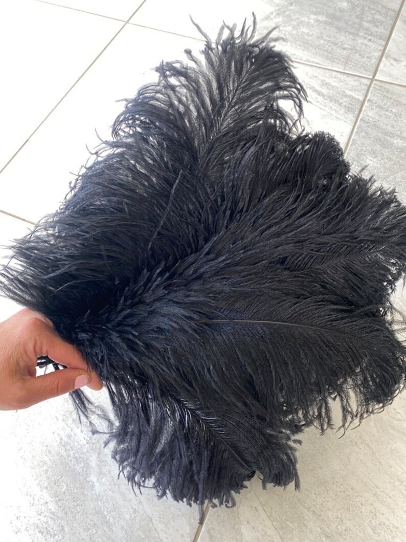 Puede incluir: Un manojo de plumas de avestruz negras, sostenido en una mano, sobre una superficie de baldosas claras. Las plumas son densas y esponjosas, con un aspecto suave y texturizado. El color oscuro proporciona un contraste llamativo.