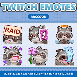Paquete de 4 emoticones kawaii de mapache pequeño: Twitch, Discord, YouTube, Streamer, Lindo, Digital