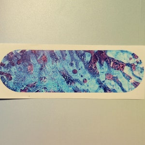 Ink Infusions Feeding Tube Pump Decal (kangaroo and infinity)