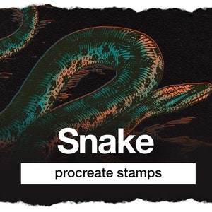 42 procreate snake brush – stamps