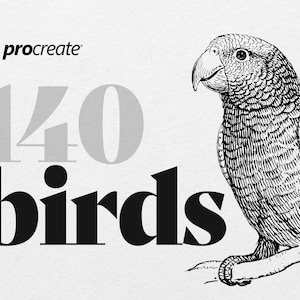 140 Procreate Stamps - Birds