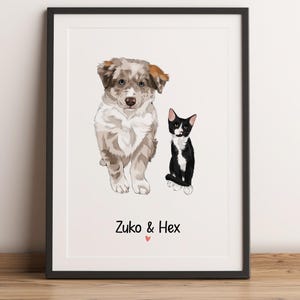 May include: A framed digital illustration featuring a brown and white merle Australian Shepherd puppy standing next to a black and white tuxedo kitten. Below the animals, the text Zuko & Hex is printed in black with a small red heart icon.
