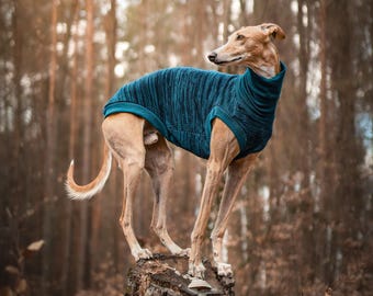 Merino wool dog sweater | Custom made dog sweatshirt | 30+ colors!