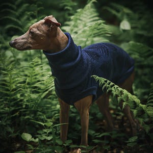 Sweter dla psa z wełny merynosowej ze wzorem liści paproci | Bluza dla psa na zamówienie | Ponad 30 kolorów! zdjęcie 2