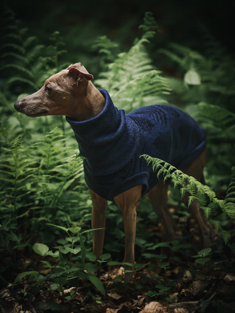 Sweter dla psa z wełny merynosowej ze wzorem liści paproci | Bluza dla psa na zamówienie | Ponad 30 kolorów! zdjęcie 2