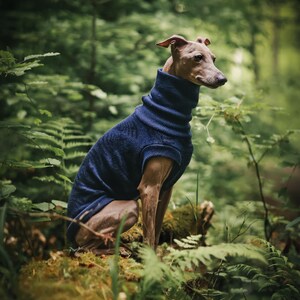 Sweter dla psa z wełny merynosowej ze wzorem liści paproci | Bluza dla psa na zamówienie | Ponad 30 kolorów! zdjęcie 1