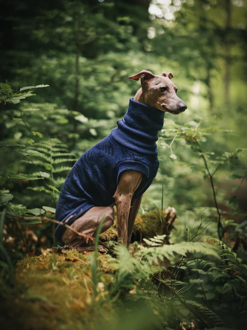 Sweter dla psa z wełny merynosowej ze wzorem liści paproci | Bluza dla psa na zamówienie | Ponad 30 kolorów! zdjęcie 1