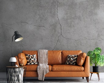 Gray Concrete Wallpaper, Temporary Wallpaper, Peel and Stick Wall Mural, Textured Wall Art, Living Room Wall Decor