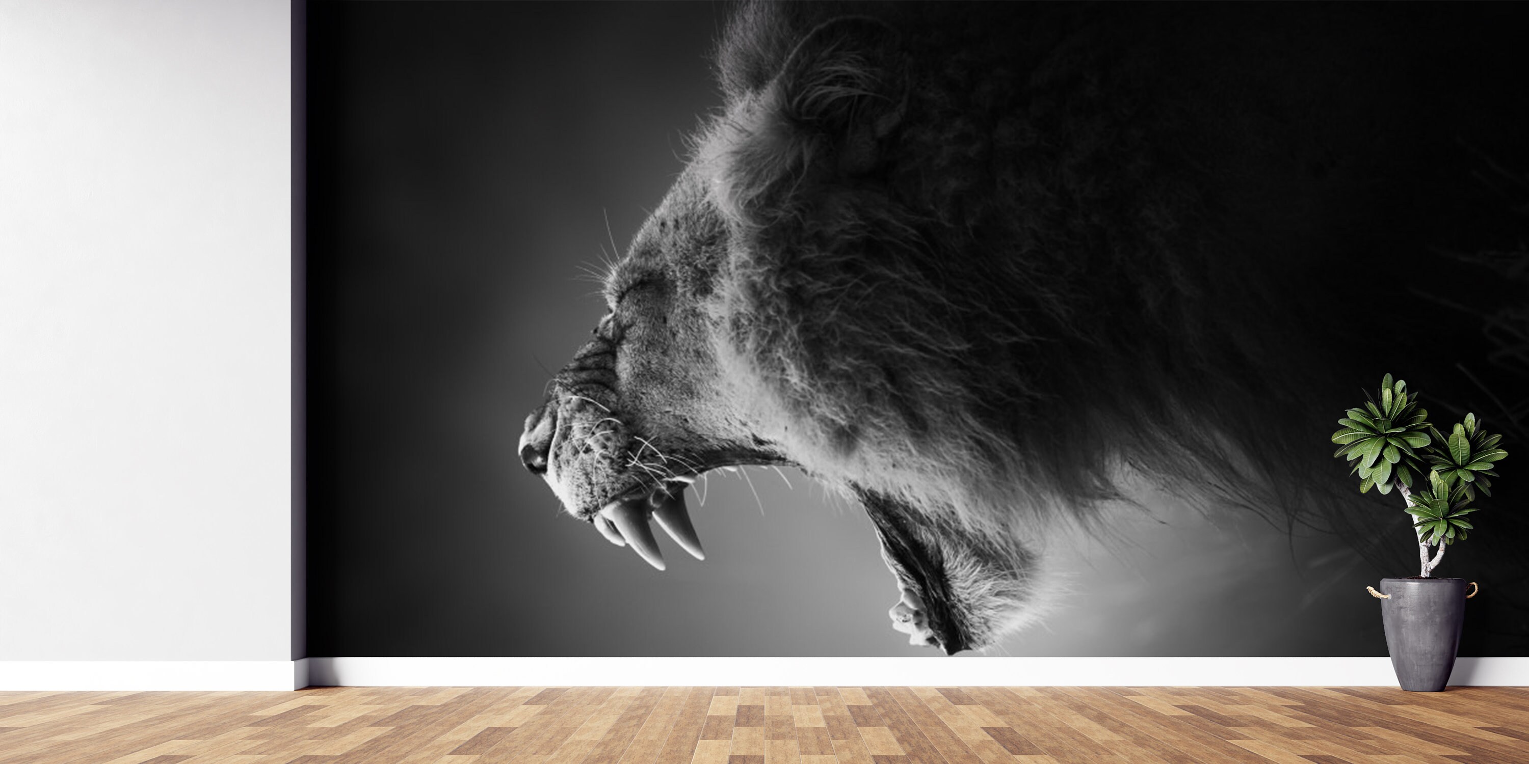 Black Lion Wallpaper Animal Wall Mural Background Wall - Etsy Black Lion Wallpaper Animal Wall Mural Background Wall - Etsy