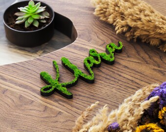 Personalisiertes Moos Türschild - Handgefertigt Mit Echtem Islandmoos, Wählbar In Schwarz Oder Weiß - Für Kinderzimmer, Büro & Wohnung