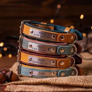 Engraved Leather Dog Collar for Boy and Girl, Custom Dog Collar with Silent Tag, Dog Lover Gift, Personalized Leather Pet Gifts