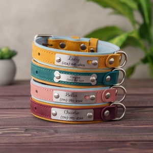 Personalized Dog Collar, Leather Dog Collar Personalized, Collar for Dogs with Name, Custom Dog Collar, Gifts for Pets Lovers