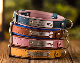 May include: Stack of five leather dog collars with personalized engraved metal tags. The collars are in various colors, including teal, brown, pink, and yellow. The tags include the names "Fancy", "Noodle", "Bella", and "Chico" with corresponding phone numbers.