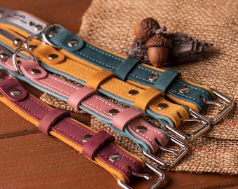 Personalized Leather Dog Collar, Custom Dog Collar with Name Plate, Engraved Leather Dog Collar