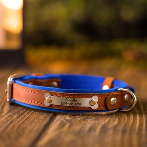 Personalized Leather Dog Collar, Leather Dog Collar, Engraved Dog Collar, Custom Dog Collar with Name Plate