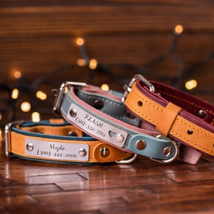 Personalized Dog Collar, Leather Dog Collar with Name, Personalized Dog Collar with Phone Number
