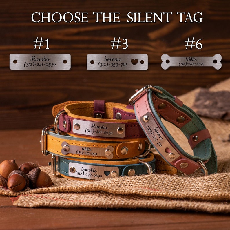 pet accessories for dogs