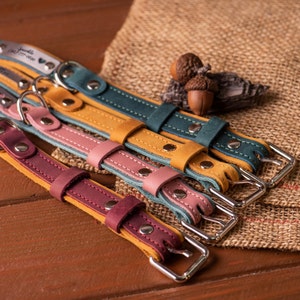 gifts for pets