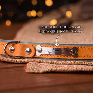 cute dog collar