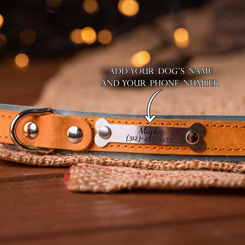 cute dog collar