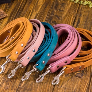 Op de afbeelding: Vijf leren hondenriemen in verschillende kleuren, waaronder bruin, roze, teal en een lichter bruin. De riemen zijn opgerold en hebben zilveren gespen.