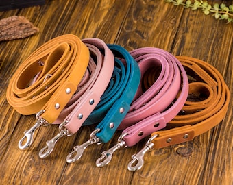 Personalized Dog Leash, Leather Pet Leashes, Puppy Leash, Leather Dog Accessories