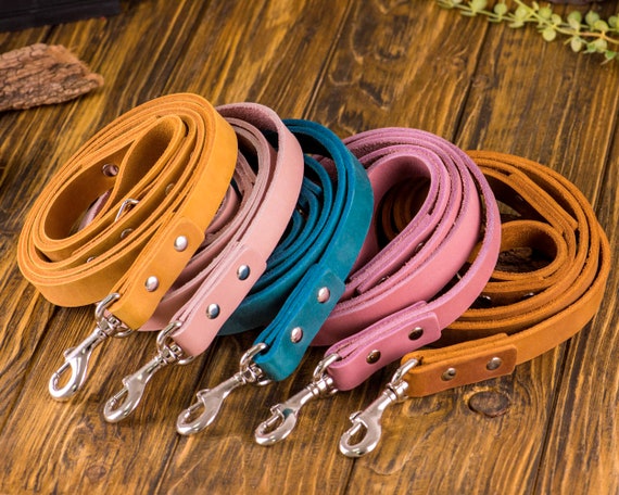 Personalized Dog Leash, Leather Pet Leashes, Puppy Leash, Leather Dog Accessories