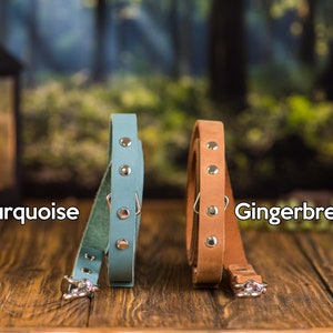 Op de afbeelding: Twee leren hondenriemen, &eacute;&eacute;n turquoise en &eacute;&eacute;n bruin. De riemen hebben zilveren metalen gespen en liggen op een houten oppervlak. De turquoise riem is ge&euml;tiketteerd met "Turquoise" en de bruine riem is ge&euml;tiketteerd met "Gingerbread".