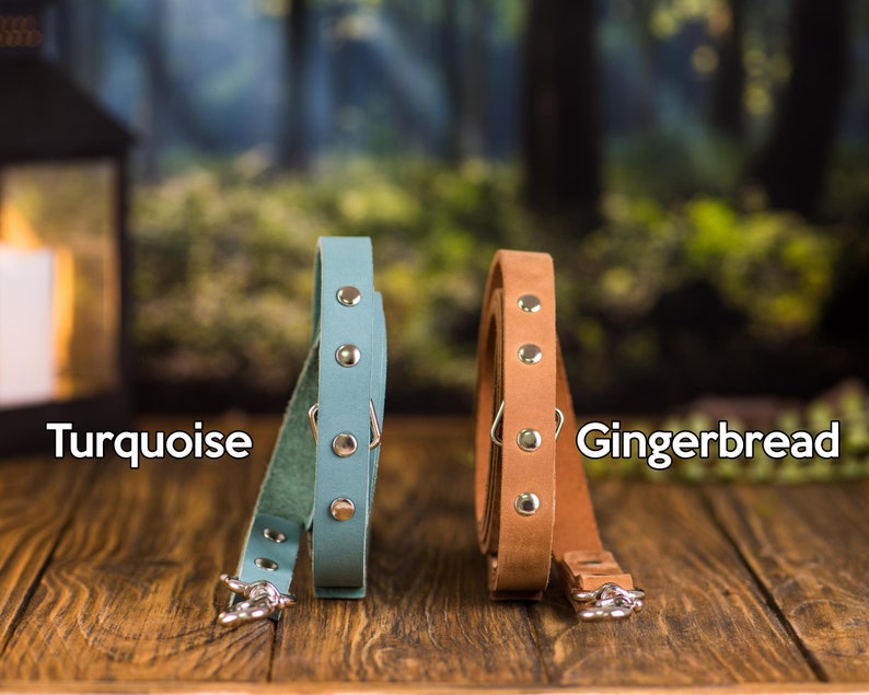 Op de afbeelding: Twee leren hondenriemen, &eacute;&eacute;n turquoise en &eacute;&eacute;n bruin. De riemen hebben zilveren metalen gespen en liggen op een houten oppervlak. De turquoise riem is ge&euml;tiketteerd met "Turquoise" en de bruine riem is ge&euml;tiketteerd met "Gingerbread".
