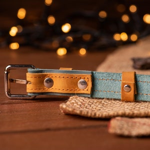 designer dog collar with silent tag