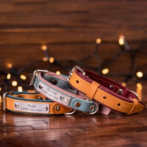 Personalized Dog Collar, Engraved Dog Collars, Leather Dog Collar with Name, Custom Dog Collar