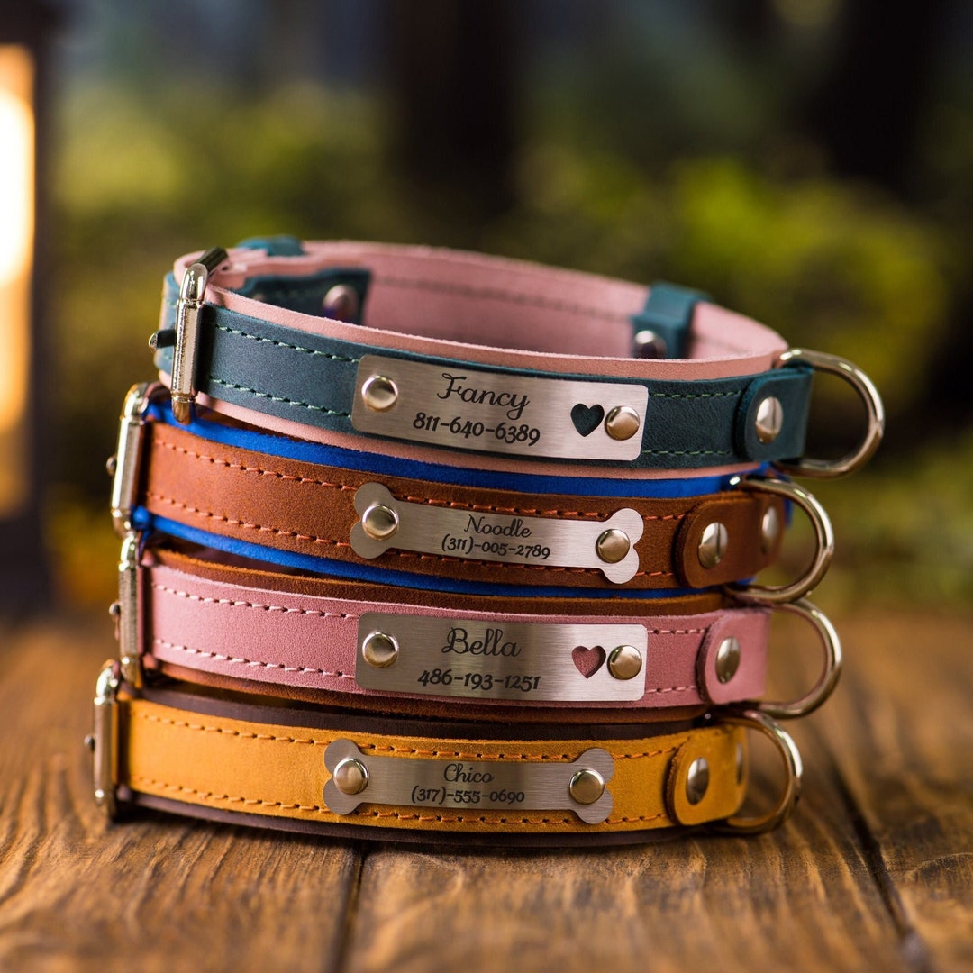 Personalized Leather Dog Collar, Leather Dog Collar With Phone Number ...