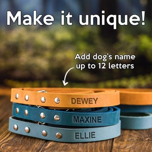 Op de afbeelding: Drie leren hondenhalsbanden in verschillende kleuren, gestapeld op een houten oppervlak. De halsbanden zijn gepersonaliseerd met de namen "DEWEY", "MAXINE" en "ELLIE".