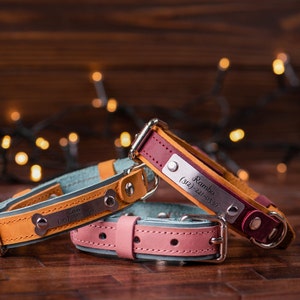 Engraved Dog Collar Leather