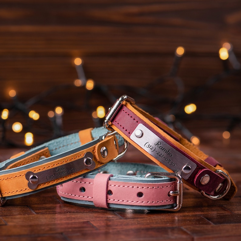 Engraved Dog Collar Leather