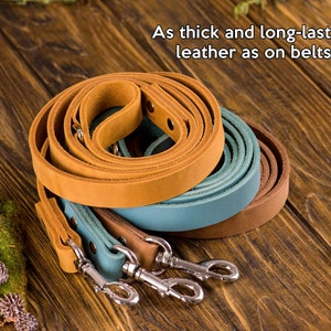Op de afbeelding: Drie leren hondenriemen in bruin, blauw en beige. De riemen zijn samen opgerold en hebben metalen gespen. De tekst "As thick and long-lasting leather as on belts" is zichtbaar in de afbeelding.