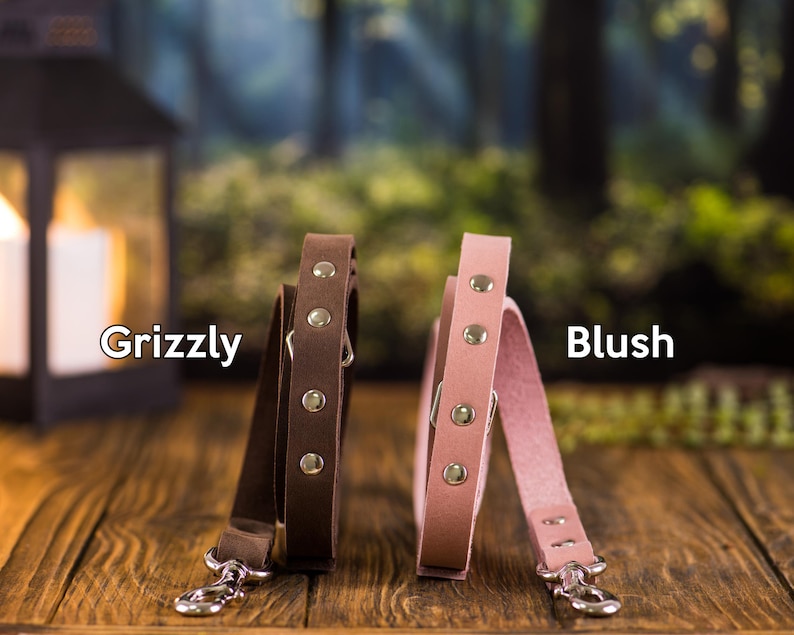 Op de afbeelding: Twee leren hondenriemen, een bruin en een roze, met zilveren metalen gespen en zilveren metalen klinknagels. De riemen zijn gelabeld met "Grizzly" en "Blush".