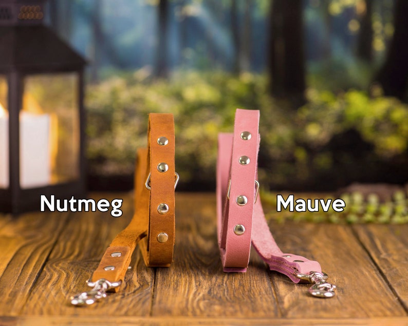 Op de afbeelding: Twee leren hondenriemen, een bruin en een roze, met zilveren beslag en de woorden "Nutmeg" en "Mauve" gedrukt op een houten oppervlak.
