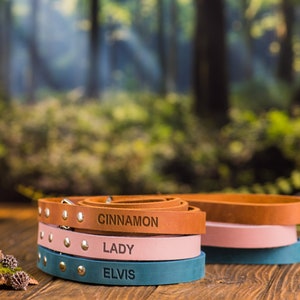 Op de afbeelding: Stapel van vier leren hondenhalsbanden in bruin, roze, blauw en teal met gepersonaliseerde namen "Cinnamon", "Lady" en "Elvis" erop gegraveerd.