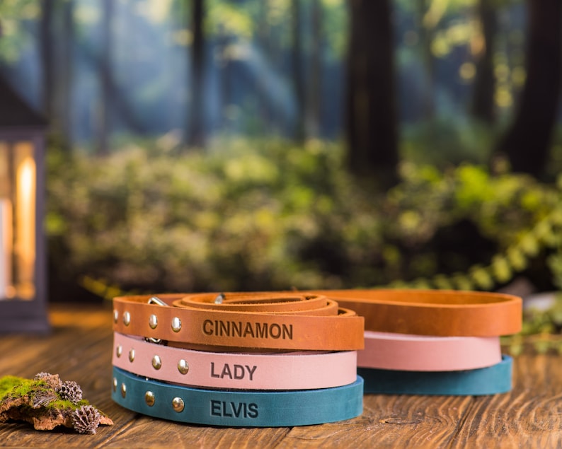 Op de afbeelding: Stapel van vier leren hondenhalsbanden in bruin, roze, blauw en teal met gepersonaliseerde namen "Cinnamon", "Lady" en "Elvis" erop gegraveerd.