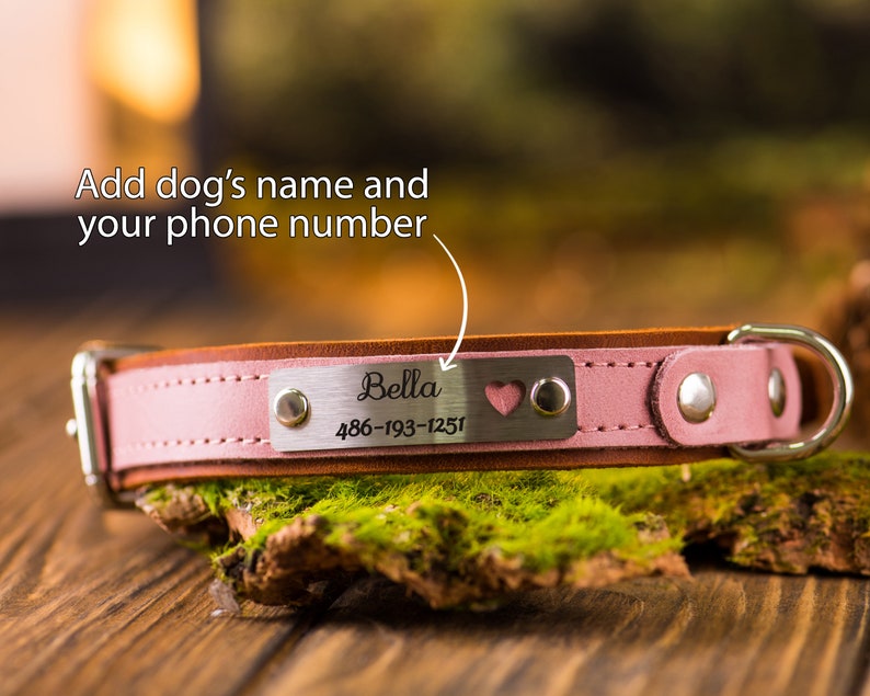 Personalized Leather Dog Collar Leather Dog Collar With Phone Etsy