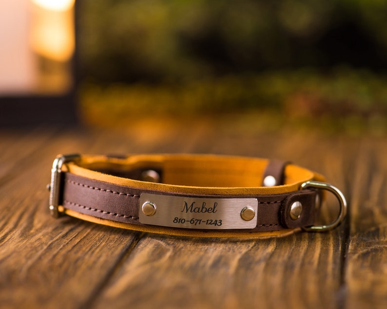 Personalized Leather Dog Collar Leather Dog Collar With Phone Etsy