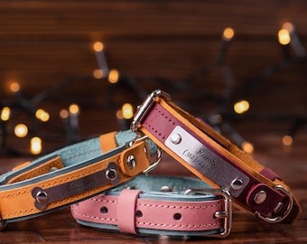 Personalized Leather Dog Collar, Leather Dog Collar with Name Plate, Custom  Dog Collars, Engraved Leather Dog Collar