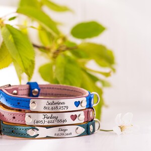 Personalized Cat Collar, Engraved Cat Collars, Leather Cat Collar, Engraved Kitten Name Plate