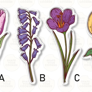 Può includere: Quattro adesivi di fiori diversi con bordi bianchi. Gli adesivi sono etichettati con A, B, C e D. L'adesivo A è un tulipano rosa. L'adesivo B è un gruppo di campanule. L'adesivo C è un croco viola. L'adesivo D è un tulipano giallo.