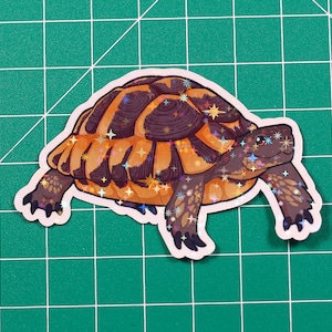 Etiqueta engomada de la tortuga terrestre griega - Tortuga - Hecho a mano - Reptil - Vinilo - Brillo brillante