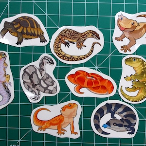Op de afbeelding: Een set van negen reptielen stickers met een schildpad, een gekko, een slang, een hagedis en vier verschillende soorten gekko's. De stickers zijn op een groene snijmat.