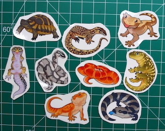 Temporary Tattoos - Reptiles - Minis